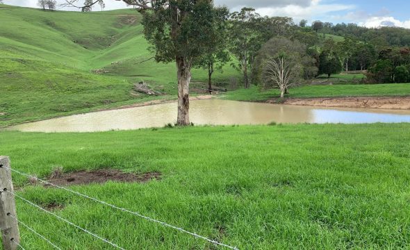 GLOUCESTER, NSW 2422 AUS