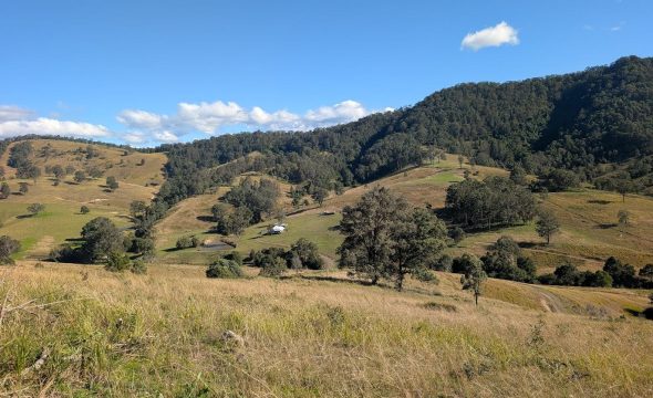 780 Mograni Creek Road, Mograni via, GLOUCESTER, NSW 2422 AUS
