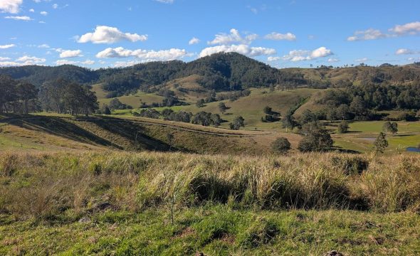 780 Mograni Creek Road, Mograni via, GLOUCESTER, NSW 2422 AUS