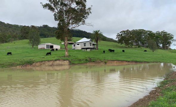 780 Mograni Creek Road, Mograni via, GLOUCESTER, NSW 2422 AUS