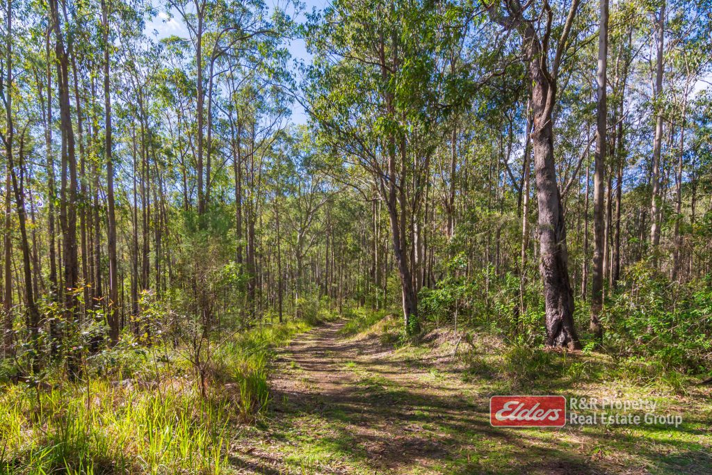 115 Suncrest Close, BULAHDELAH, NSW 2423 AUS