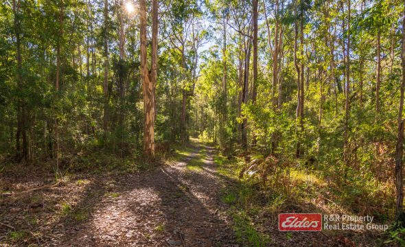 115 Suncrest Close, BULAHDELAH, NSW 2423 AUS