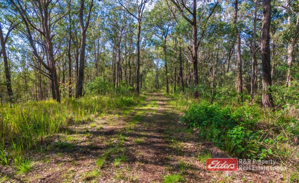 115 Suncrest Close, BULAHDELAH, NSW 2423 AUS