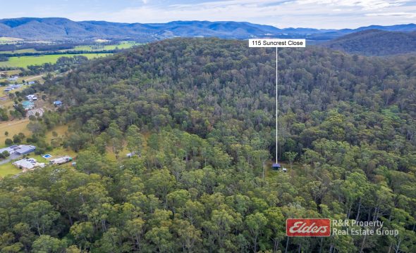 115 Suncrest Close, BULAHDELAH, NSW 2423 AUS