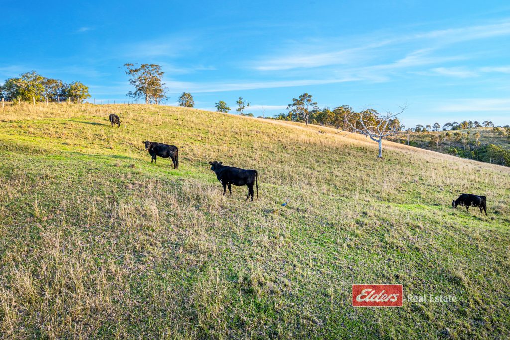 949 Tipperary Road, Tipperary via, GLOUCESTER, NSW 2422 AUS