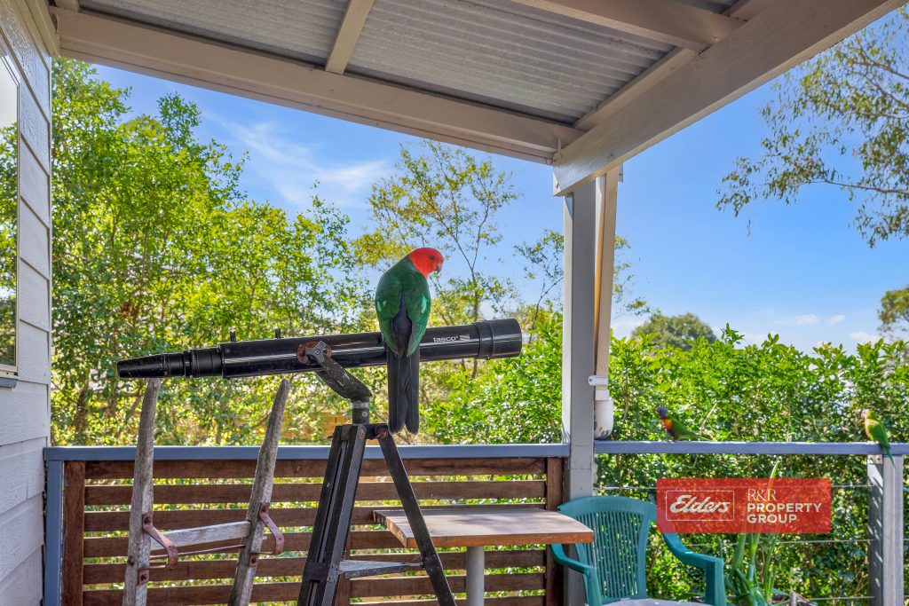 5 Eloiza Street, DUNGOG, NSW 2420 AUS