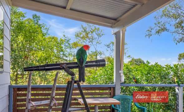 5 Eloiza Street, DUNGOG, NSW 2420 AUS