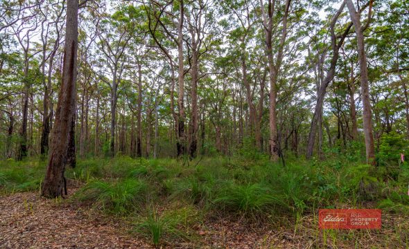752A Crest Road, NORTH ARM COVE, NSW 2324 AUS