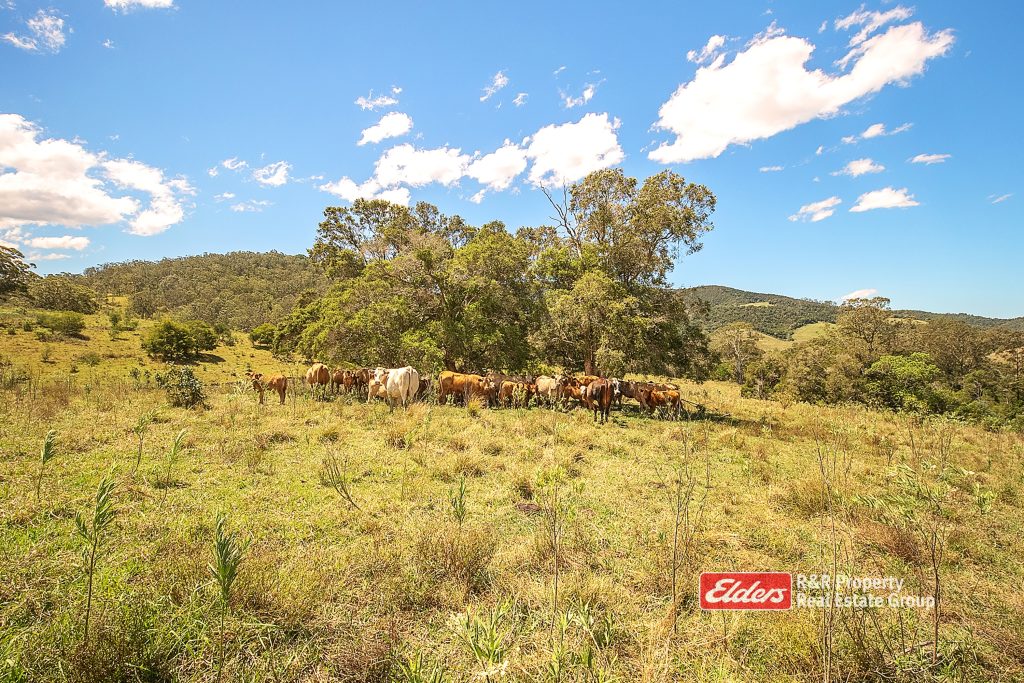 330 Smiths Road, Callaghans Creek, via, GLOUCESTER, NSW 2422 AUS