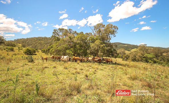 330 Smiths Road, Callaghans Creek, via, GLOUCESTER, NSW 2422 AUS