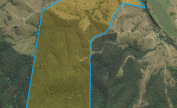 330 Smiths Road, Callaghans Creek, via, GLOUCESTER, NSW 2422 AUS