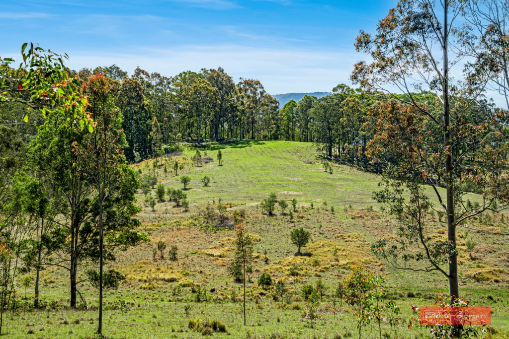Lot 2/1811 Booral Road, GIRVAN, NSW 2425 AUS