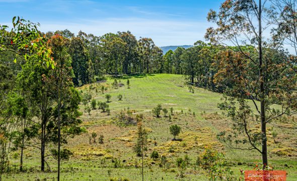 Lot 2/1811 Booral Road, GIRVAN, NSW 2425 AUS