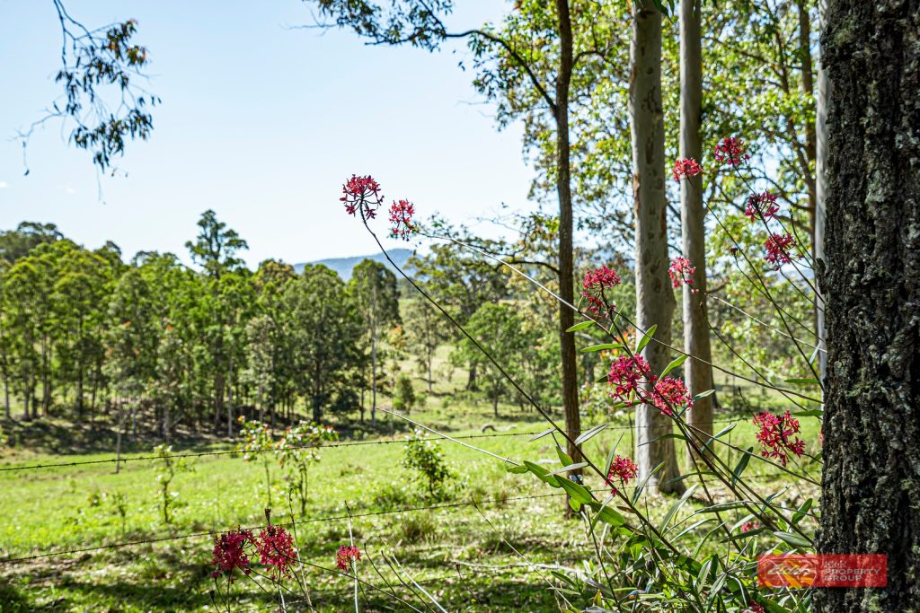 Lot 2/1811 Booral Road, GIRVAN, NSW 2425 AUS