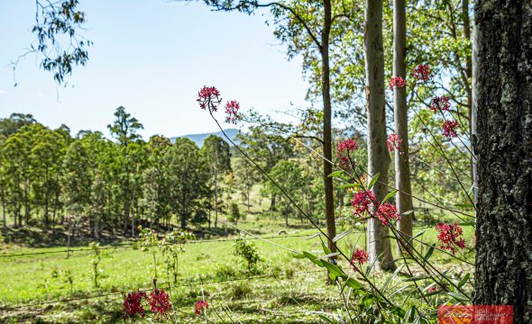 Lot 2/1811 Booral Road, GIRVAN, NSW 2425 AUS