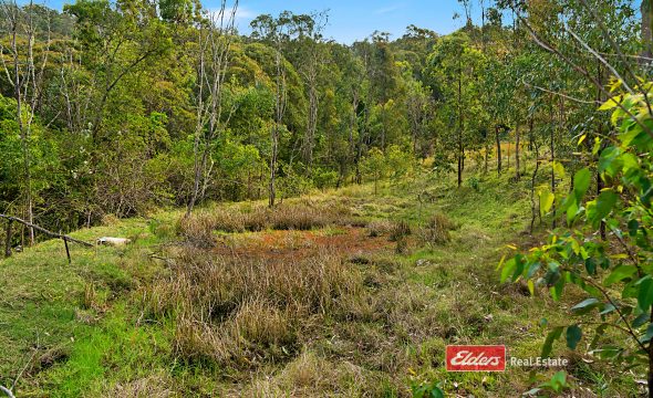 360 Myall Creek Road, Munni via, DUNGOG, NSW 2420 AUS