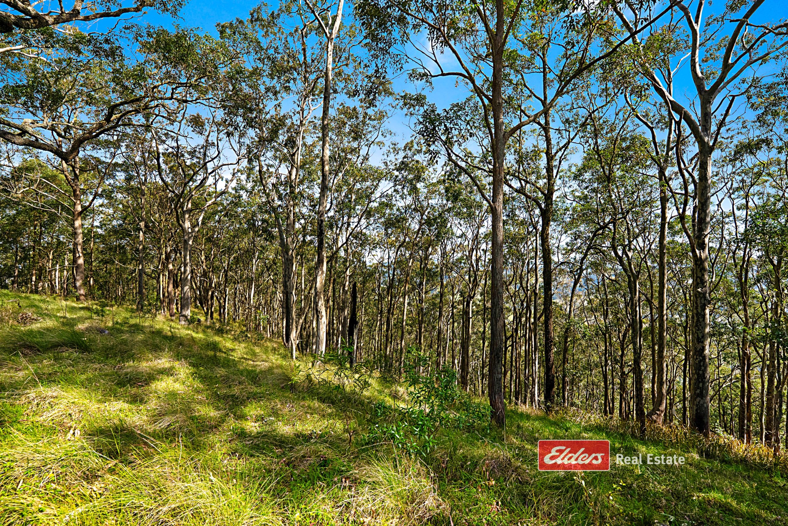 360 Myall Creek Road, Munni via, DUNGOG, NSW 2420 AUS