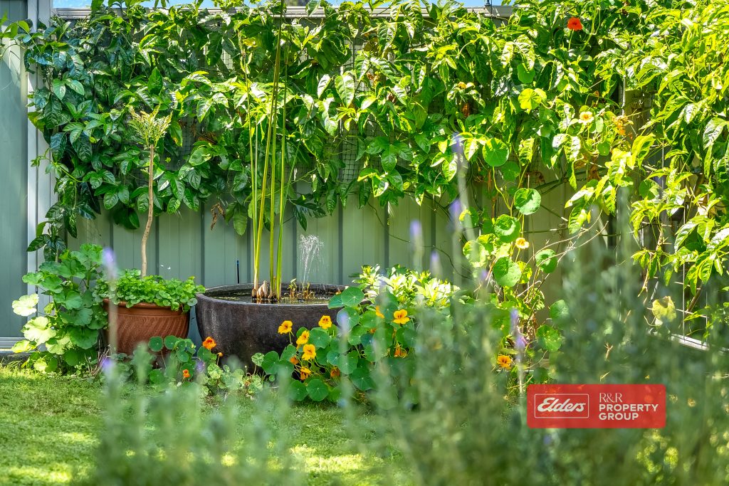 29 Mackay Street, DUNGOG, NSW 2420 AUS