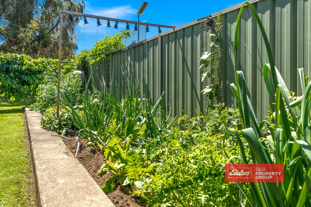 29 Mackay Street, DUNGOG, NSW 2420 AUS
