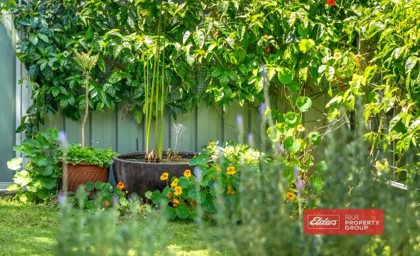 29 Mackay Street, DUNGOG, NSW 2420 AUS